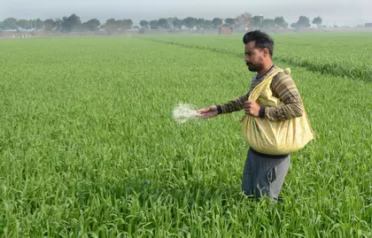 रबी फसल के तहत बोया गया क्षेत्र बढ़कर 580 लाख हेक्टेयर पार रबी फसल के तहत बोया गया क्षेत्र बढ़कर 580 लाख हेक्टेयर पार