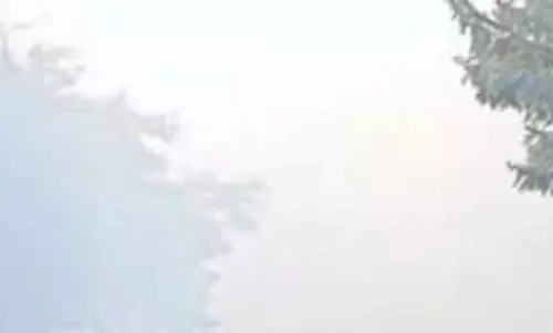 कड़ाके की ठंड पड़ रही, कई जिलों में शीतलहर