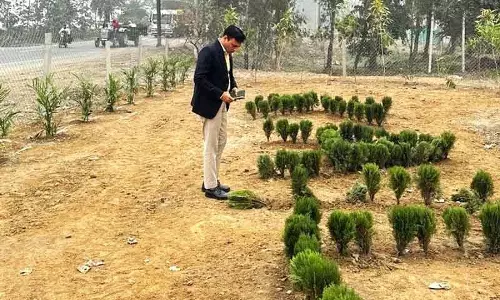 Yamunanagar जगाधरी में कचरे की जगह अब हरी-भरी बनी