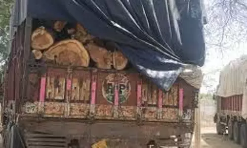 Rajasthan :NH-48 पर गीली लकड़ी से भरा ट्रक जब्त, वन विभाग को सौंपा