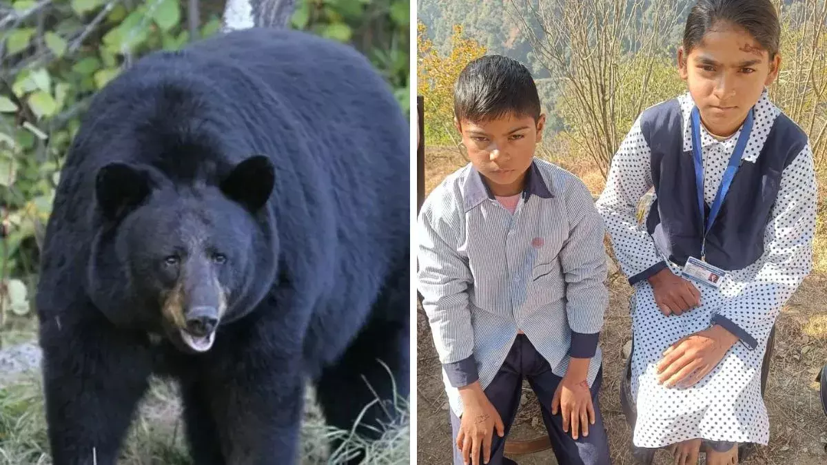 Dehradun: उत्तराखंड में भालू का आतंक, स्कूल जाने वाले बच्चे को पकड़ लिया Dehradun: उत्तराखंड में भालू का आतंक, स्कूल जाने वाले बच्चे को पकड़ लिया