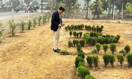 Haryana : जगाधरी में नगर निगम ने कचरे वाली जगह को हरी-भरी जगह में बदल दिया