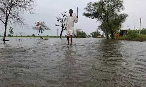Hisar में 8,000 एकड़ ज़मीन में पानी भर गया, रबी की बुवाई प्रभावित हुई