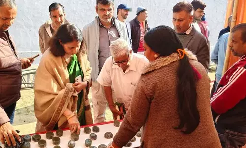 Haryana : 250 प्रगतिशील किसानों ने सेमिनार में भाग लिया Haryana : 250 प्रगतिशील किसानों ने सेमिनार में भाग लिया
