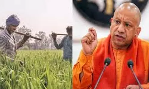 Lucknow: यूपी में किसानों को समर्पित विशेष दिन, योगी सरकार का फैसला Lucknow: यूपी में किसानों को समर्पित विशेष दिन, योगी सरकार का फैसला