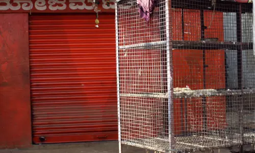 Kerala में बर्ड फ्लू का नया प्रकोप; अलाप्पुझा, कोट्टायम हाई अलर्ट पर