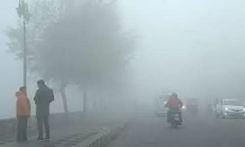 Bhiwani: कोहरे के कारण यातायात धीमा, वाहन चालक सतर्क Bhiwani: कोहरे के कारण यातायात धीमा, वाहन चालक सतर्क
