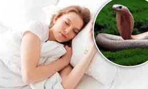 सपनों में सांप का दिखना, Dream शास्त्र के अनुसार क्या है संकेत सपनों में सांप का दिखना, Dream शास्त्र के अनुसार क्या है संकेत