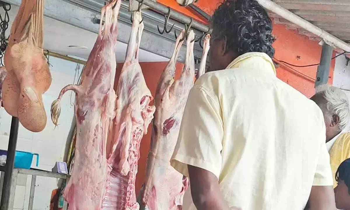 Karnataka: मटन की कीमतें आसमान छू गईं, 1,000 रुपये प्रति किलो तक पहुंचीं Karnataka: मटन की कीमतें आसमान छू गईं, 1,000 रुपये प्रति किलो तक पहुंचीं