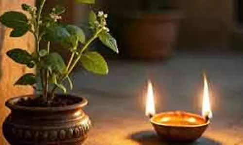 शाम को Tulsi के पास दीपक जलाने का महत्व, मां लक्ष्मी को खुश रखने का तरीका शाम को Tulsi के पास दीपक जलाने का महत्व, मां लक्ष्मी को खुश रखने का तरीका