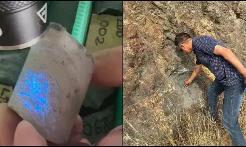 स्पेन Tungsten Project के अधिग्रहण के बाद डेक्कन गोल्ड माइंस के शेयरों में 20% की तेज़ी आई