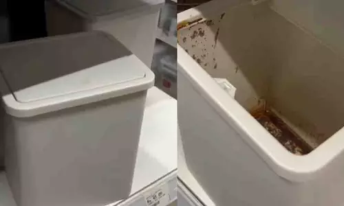 कानपुर के मिस्टर DIY में डस्टबिन पर गुटखा के दाग देख हैरान हुआ ग्राहक