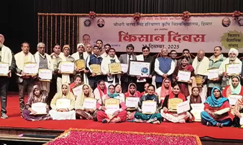 Hisar में किसान दिवस मनाया गया, किसानों को किया गया सम्मानित Hisar में किसान दिवस मनाया गया, किसानों को किया गया सम्मानित