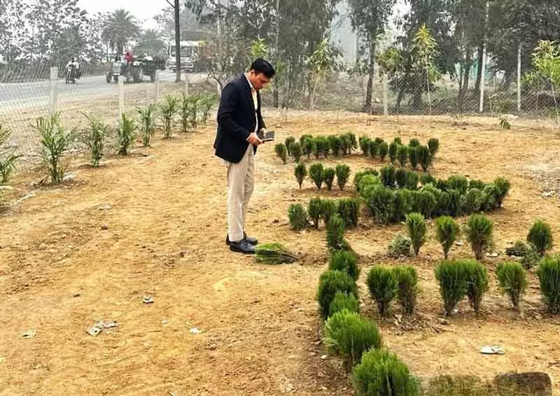 Yamunanagar जगाधरी में कचरे की जगह अब हरी-भरी बनी Yamunanagar जगाधरी में कचरे की जगह अब हरी-भरी बनी