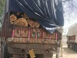 Rajasthan :NH-48 पर गीली लकड़ी से भरा ट्रक जब्त, वन विभाग को सौंपा Rajasthan :NH-48 पर गीली लकड़ी से भरा ट्रक जब्त, वन विभाग को सौंपा