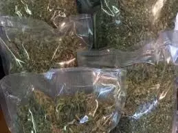 Jharkhand:दो किलो गांजा जब्त, आरोपी बाइक छोड़कर फरार Jharkhand:दो किलो गांजा जब्त, आरोपी बाइक छोड़कर फरार