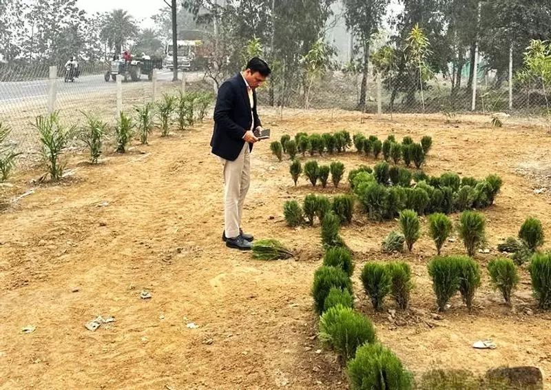 Haryana : जगाधरी में नगर निगम ने कचरे वाली जगह को हरी-भरी जगह में बदल दिया Haryana : जगाधरी में नगर निगम ने कचरे वाली जगह को हरी-भरी जगह में बदल दिया