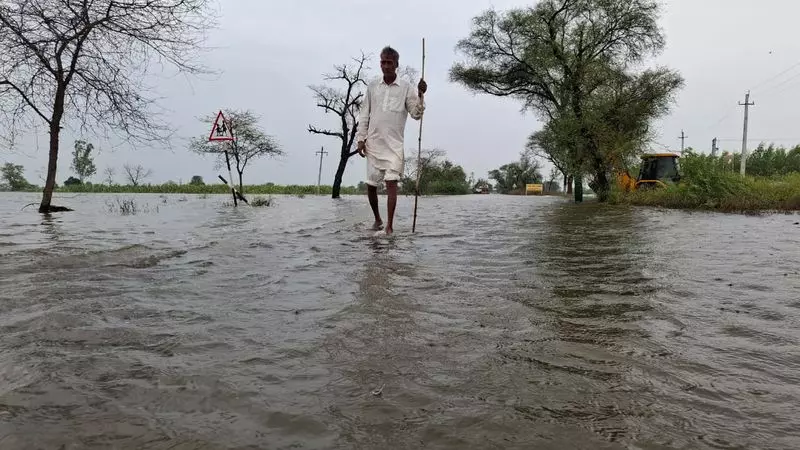 Hisar में 8,000 एकड़ ज़मीन में पानी भर गया, रबी की बुवाई प्रभावित हुई Hisar में 8,000 एकड़ ज़मीन में पानी भर गया, रबी की बुवाई प्रभावित हुई