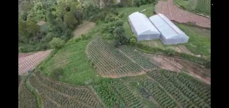Himachal: बागवानी फसलों में सूखे के तनाव से निपटने के लिए एडवाइजरी जारी की गई Himachal: बागवानी फसलों में सूखे के तनाव से निपटने के लिए एडवाइजरी जारी की गई