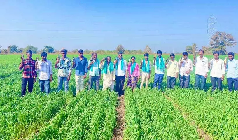 हम Congress party को अपनी चप्पलों से पीट रहे हैं: मुखराके के किसान हम Congress party को अपनी चप्पलों से पीट रहे हैं: मुखराके के किसान