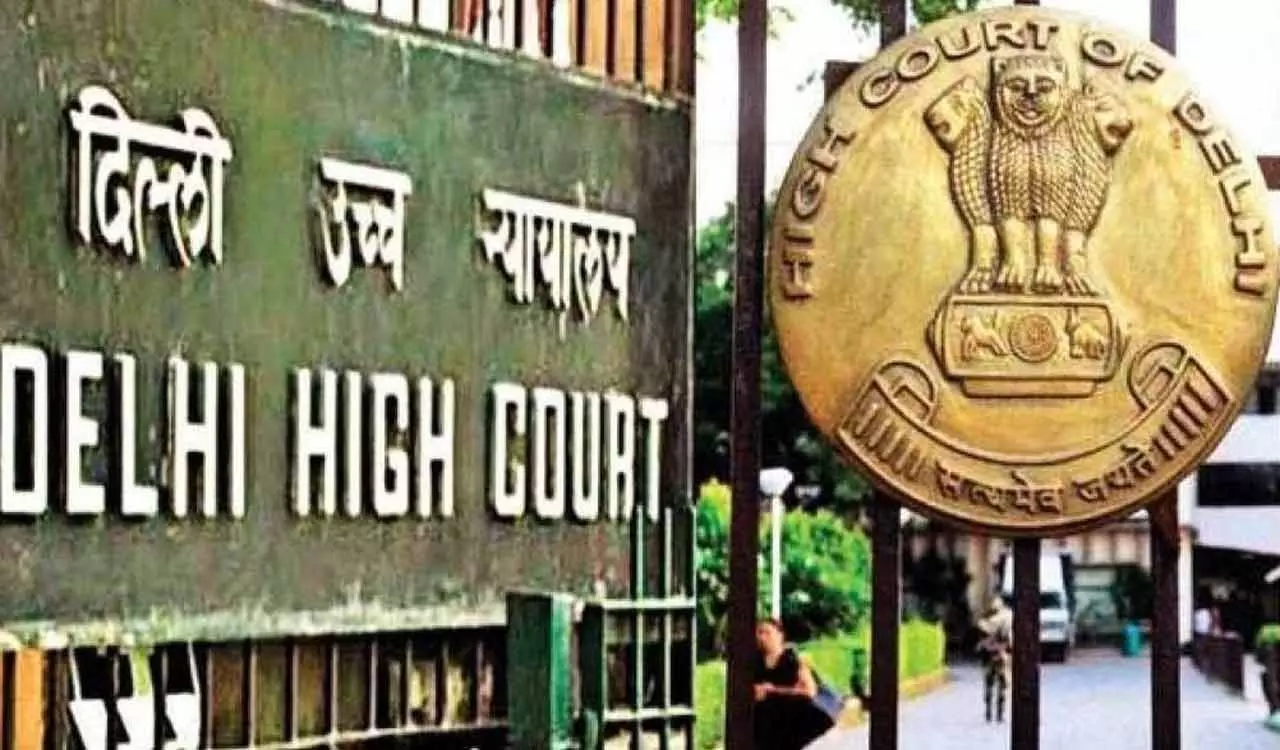 Delhi HC ने हिजबुल चीफ के बेटों की टेरर फंडिंग केस में याचिका खारिज की Delhi HC ने हिजबुल चीफ के बेटों की टेरर फंडिंग केस में याचिका खारिज की