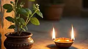 शाम को Tulsi के पास दीपक जलाने का महत्व, मां लक्ष्मी को खुश रखने का तरीका शाम को Tulsi के पास दीपक जलाने का महत्व, मां लक्ष्मी को खुश रखने का तरीका