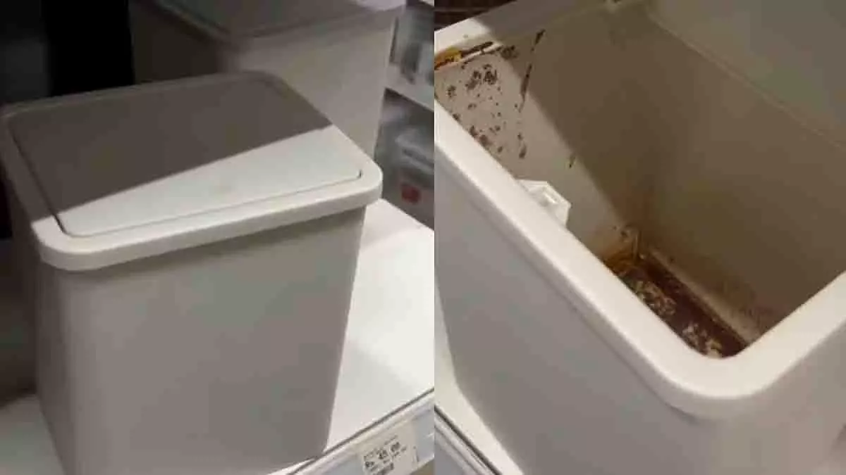 कानपुर के मिस्टर DIY में डस्टबिन पर गुटखा के दाग देख हैरान हुआ ग्राहक कानपुर के मिस्टर DIY में डस्टबिन पर गुटखा के दाग देख हैरान हुआ ग्राहक
