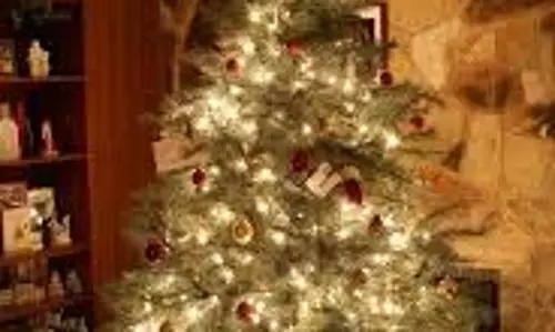 Christmas Tree Vastu Tips: घर में क्रिसमस ट्री लगाने से बदलता है भाग्य, जानें इसे रखने की सही दिशा Christmas Tree Vastu Tips: घर में क्रिसमस ट्री लगाने से बदलता है भाग्य, जानें इसे रखने की सही दिशा