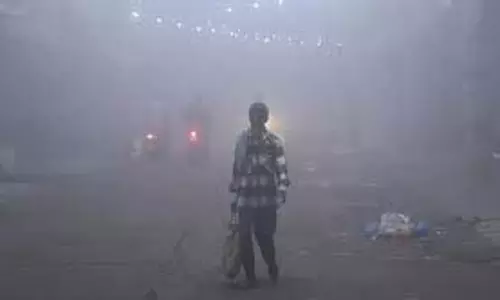 Bihar Cold Wave : भीषण शीतलहर , 14 जिलों में Cold Day का असर