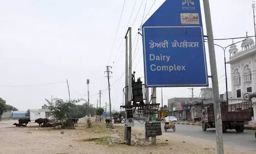 Budha Nullah के कचरे को लेकर लुधियाना की 40 डेयरियों की बिजली काटी गई Budha Nullah के कचरे को लेकर लुधियाना की 40 डेयरियों की बिजली काटी गई