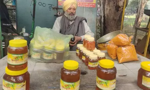 Punjab के गांव के उद्यमी का शुद्ध शहद और हल्दी के साथ दस साल का सफर Punjab के गांव के उद्यमी का शुद्ध शहद और हल्दी के साथ दस साल का सफर