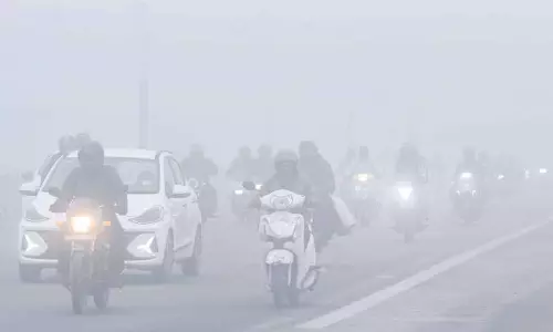 Jalandhar: घने कोहरे के कारण यूनिवर्सिटी के प्रैक्टिस सेशन प्रभावित हुए