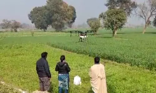Haryana : ड्रोन दीदी योजना महिलाओं को कैसे सशक्त बनाएगी Haryana : ड्रोन दीदी योजना महिलाओं को कैसे सशक्त बनाएगी