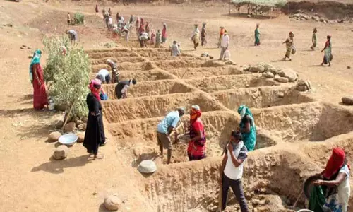 सांसद चब्बेवाल ने MGNREGA को बदलने के केंद्र सरकार के कदम की आलोचना की सांसद चब्बेवाल ने MGNREGA को बदलने के केंद्र सरकार के कदम की आलोचना की