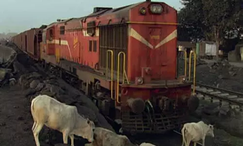 Lucknow: रेलवे ट्रैक पर दिल दहला देने वाली घटना, गाय-बछड़े की मौत Lucknow: रेलवे ट्रैक पर दिल दहला देने वाली घटना, गाय-बछड़े की मौत