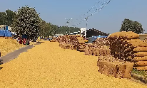 Yamunanagar: 5 लाख मीट्रिक टन कमी की रिपोर्ट मुख्यालय को भेजी गई