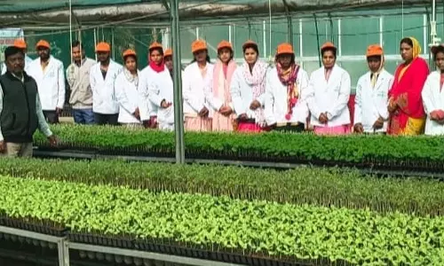 उद्यानिकी प्रशिक्षण से सशक्त होंगे किसान और युवा उद्यानिकी प्रशिक्षण से सशक्त होंगे किसान और युवा