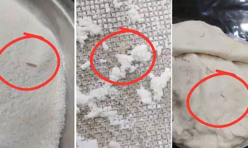 Gwalior में सूजी और मैदा के पैकेट में कीड़े रेंगते हुए पाए गए Gwalior में सूजी और मैदा के पैकेट में कीड़े रेंगते हुए पाए गए