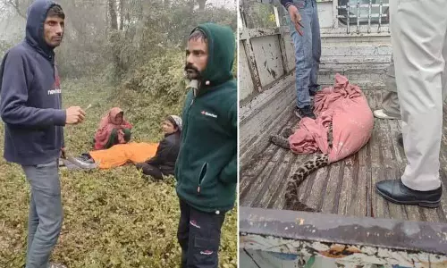 Mandi में तेंदुए के हमले में एक व्यक्ति की मौत, 5 घायल Mandi में तेंदुए के हमले में एक व्यक्ति की मौत, 5 घायल