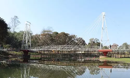 Mini Zoo नए साल के लिए नई चहचहाहट की आवाज़ों के साथ तैयारी कर रहा