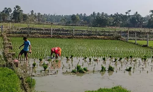 नदी की खुदाई का काम जारी, Farmer सिंचाई के पानी को लेकर चिंतित