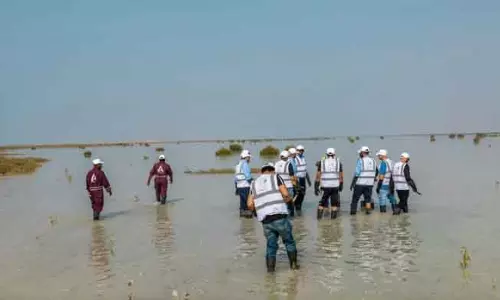 Rabigh के तटों पर लगेंगे 4 लाख मैंग्रोव; डिजिटल तकनीक से होगी निगरानी Rabigh के तटों पर लगेंगे 4 लाख मैंग्रोव; डिजिटल तकनीक से होगी निगरानी