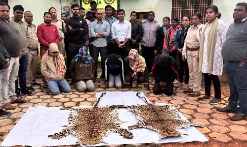Rayagada: वन विभाग की छापेमारी में 2 तेंदुए की खालें जब्त, 5 गिरफ्तार
