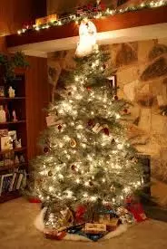 Christmas Tree Vastu Tips: घर में क्रिसमस ट्री लगाने से बदलता है भाग्य, जानें इसे रखने की सही दिशा Christmas Tree Vastu Tips: घर में क्रिसमस ट्री लगाने से बदलता है भाग्य, जानें इसे रखने की सही दिशा