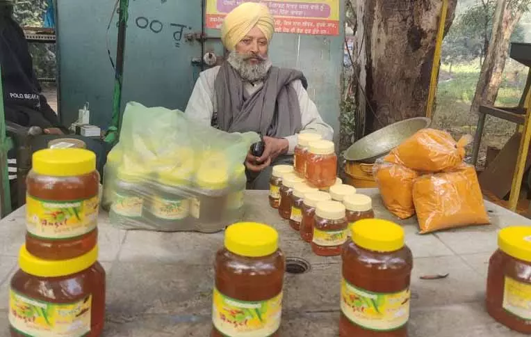 Punjab के गांव के उद्यमी का शुद्ध शहद और हल्दी के साथ दस साल का सफर Punjab के गांव के उद्यमी का शुद्ध शहद और हल्दी के साथ दस साल का सफर
