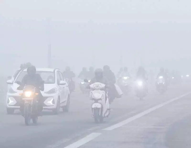 Jalandhar: घने कोहरे के कारण यूनिवर्सिटी के प्रैक्टिस सेशन प्रभावित हुए Jalandhar: घने कोहरे के कारण यूनिवर्सिटी के प्रैक्टिस सेशन प्रभावित हुए