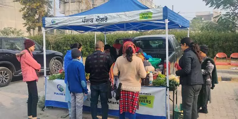 Doaba के किसान सीधे बिक्री के लिए किसान हट शुरू करने की योजना बना रहे हैं Doaba के किसान सीधे बिक्री के लिए किसान हट शुरू करने की योजना बना रहे हैं