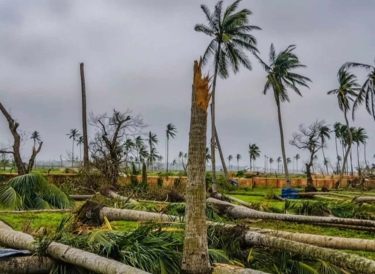 तमिलनाडु में Odisha के युवक की मौत, परिवार शव प्राप्त करने के लिए संघर्ष कर रहा तमिलनाडु में Odisha के युवक की मौत, परिवार शव प्राप्त करने के लिए संघर्ष कर रहा