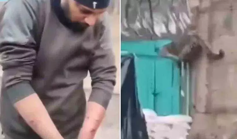 CRPF कैंप में घुसा तेंदुआ, एक जवान घायल CRPF कैंप में घुसा तेंदुआ, एक जवान घायल