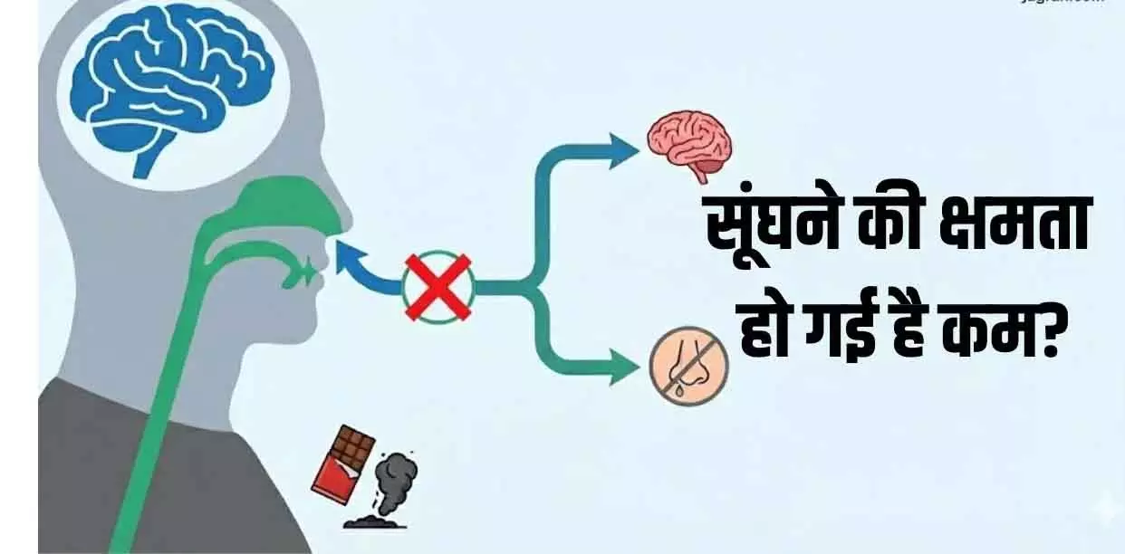 खुशबू न आने पर हो सकती है Parkinson बीमारी की चेतावनी खुशबू न आने पर हो सकती है Parkinson बीमारी की चेतावनी